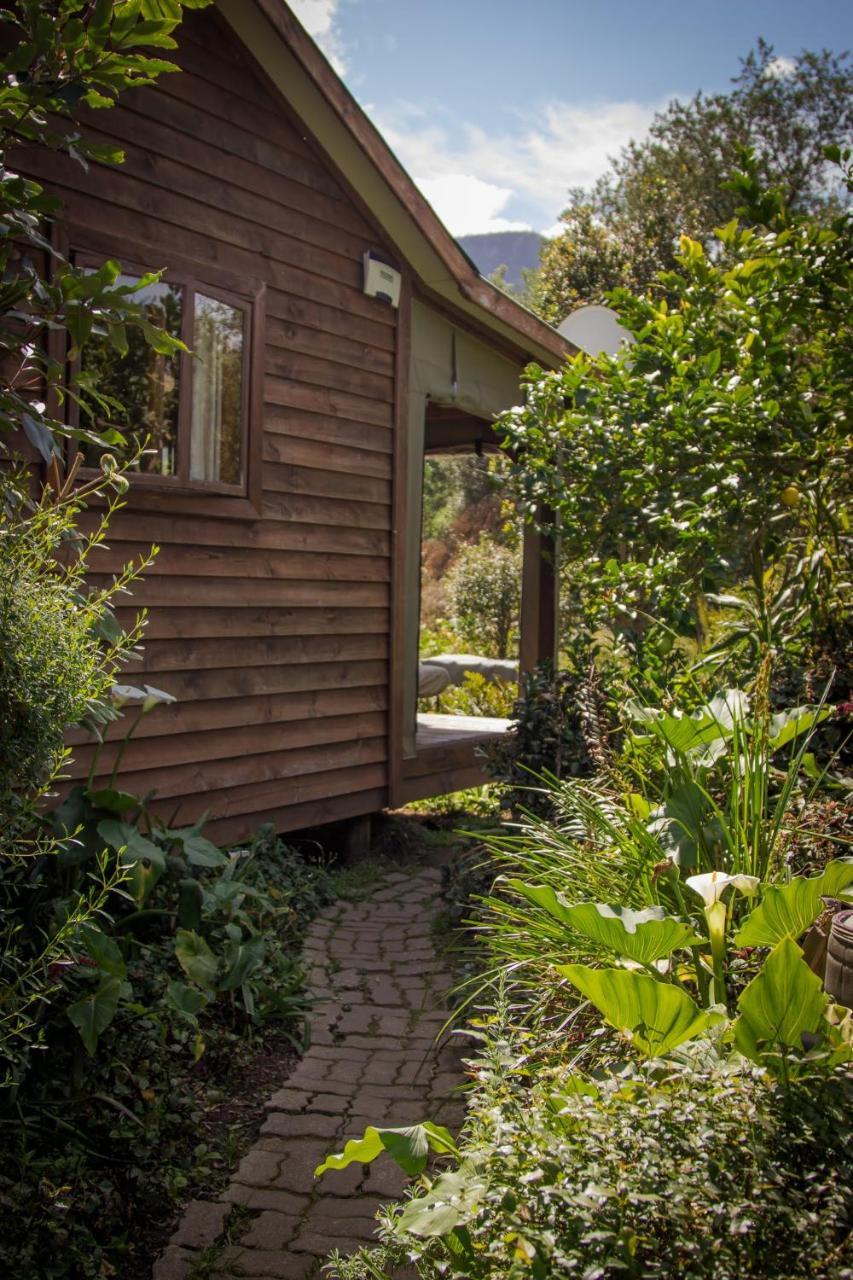 Pear Tree Cottage Stormsrivier Exterior foto